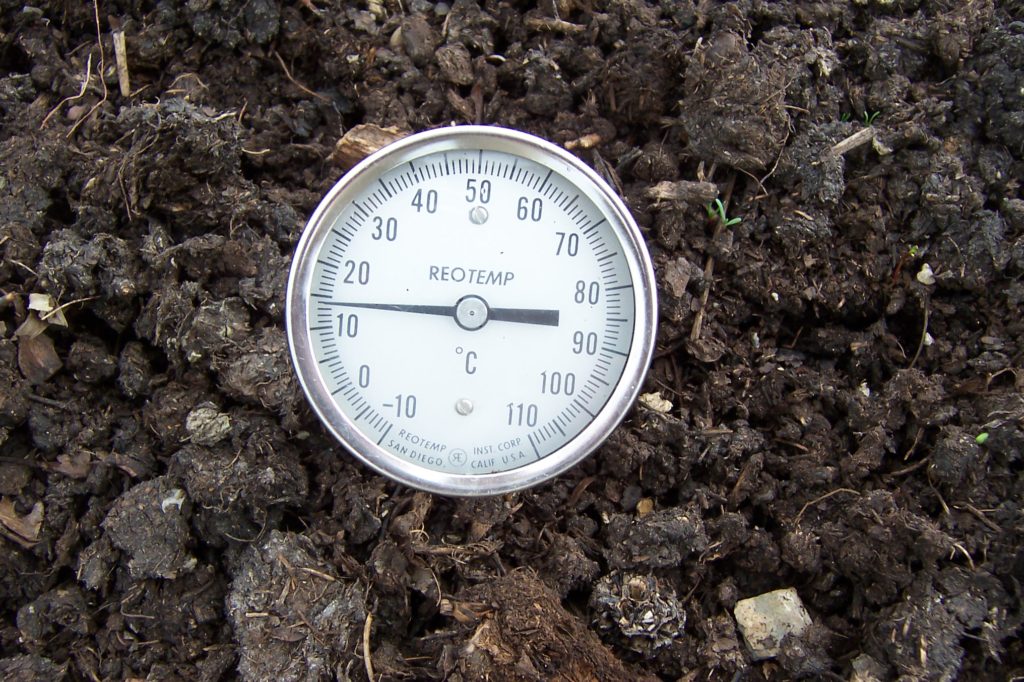 mature compost pile with a thermometer