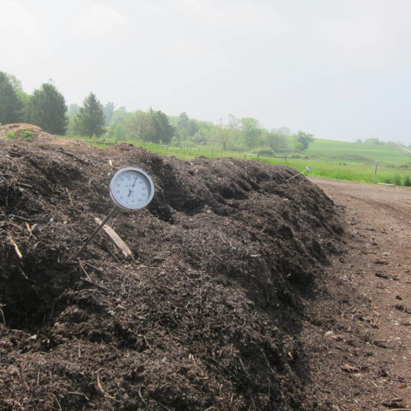 steaming compost pile