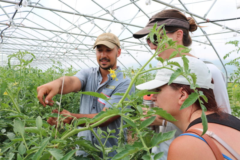 greenhouse tour