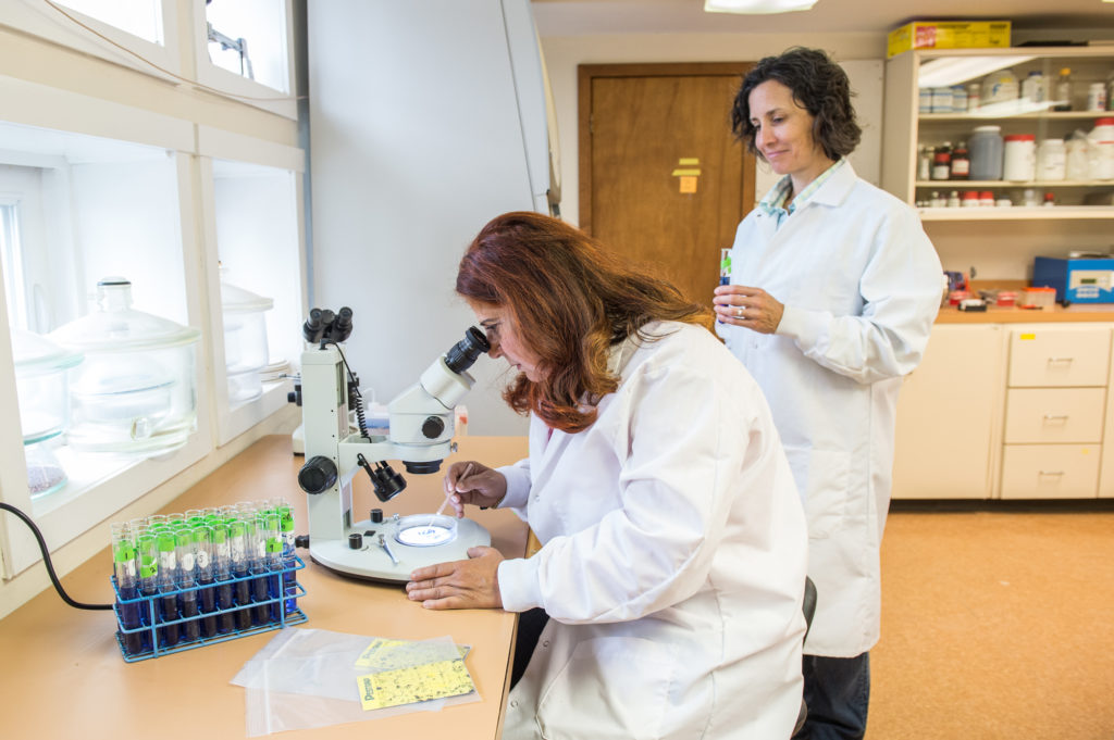 Rodale Wissenschaftler im Labor