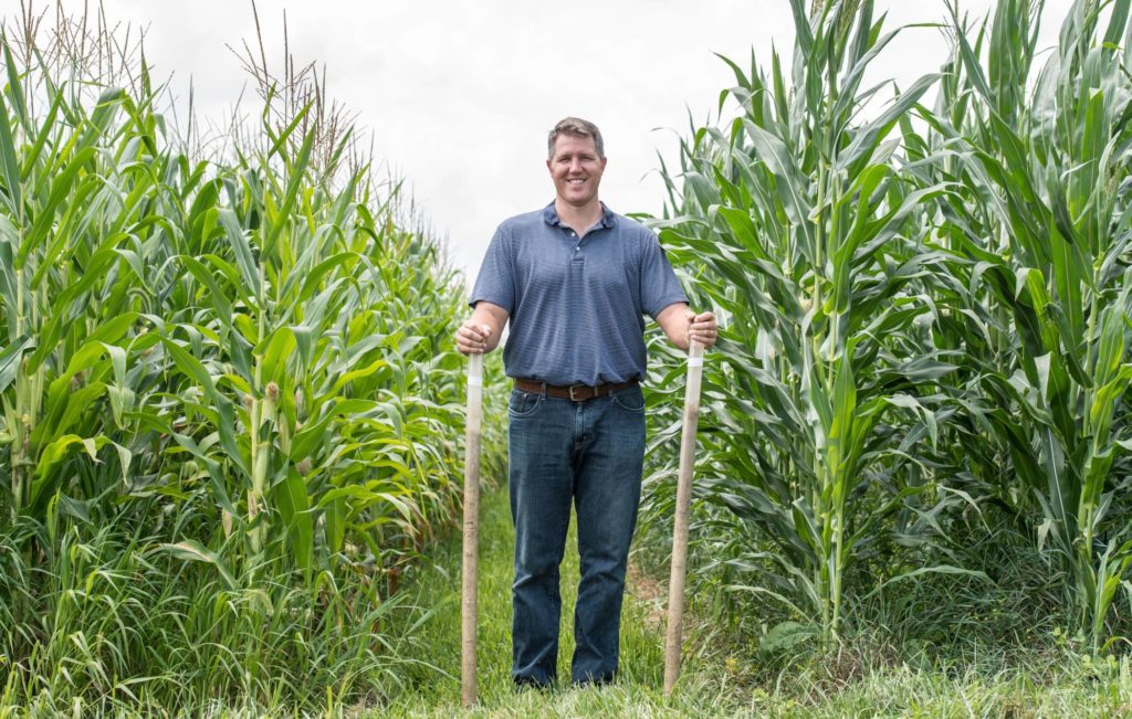 corn field