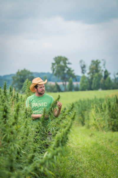 rodale hemp farmer