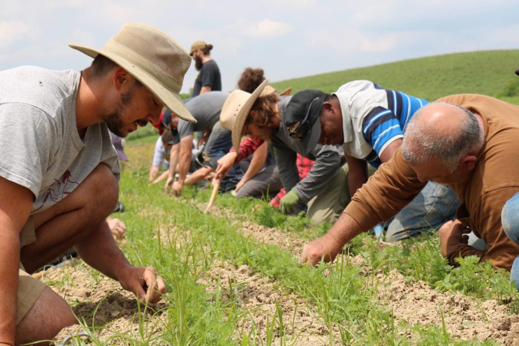 checking the soil