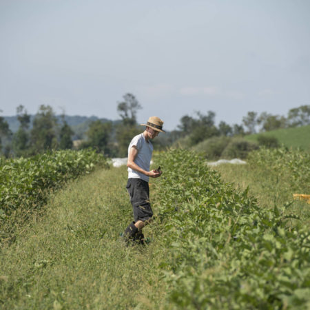 rodale organic farmer