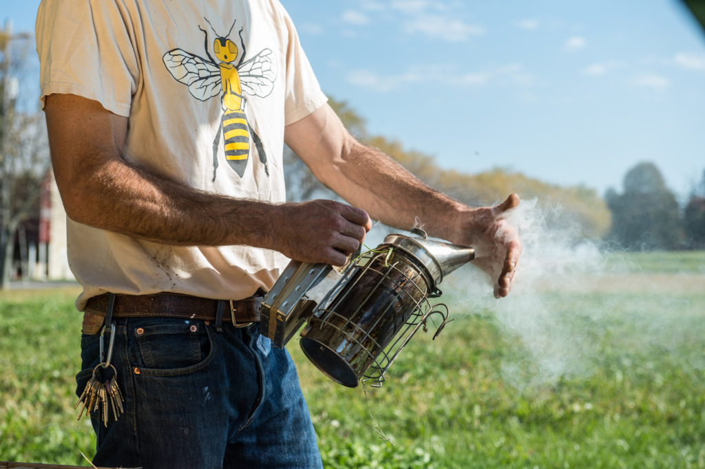 Treatment-Free Beekeepers