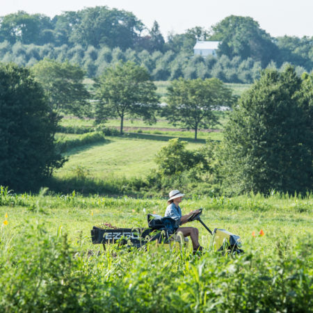 rodale institute farmer