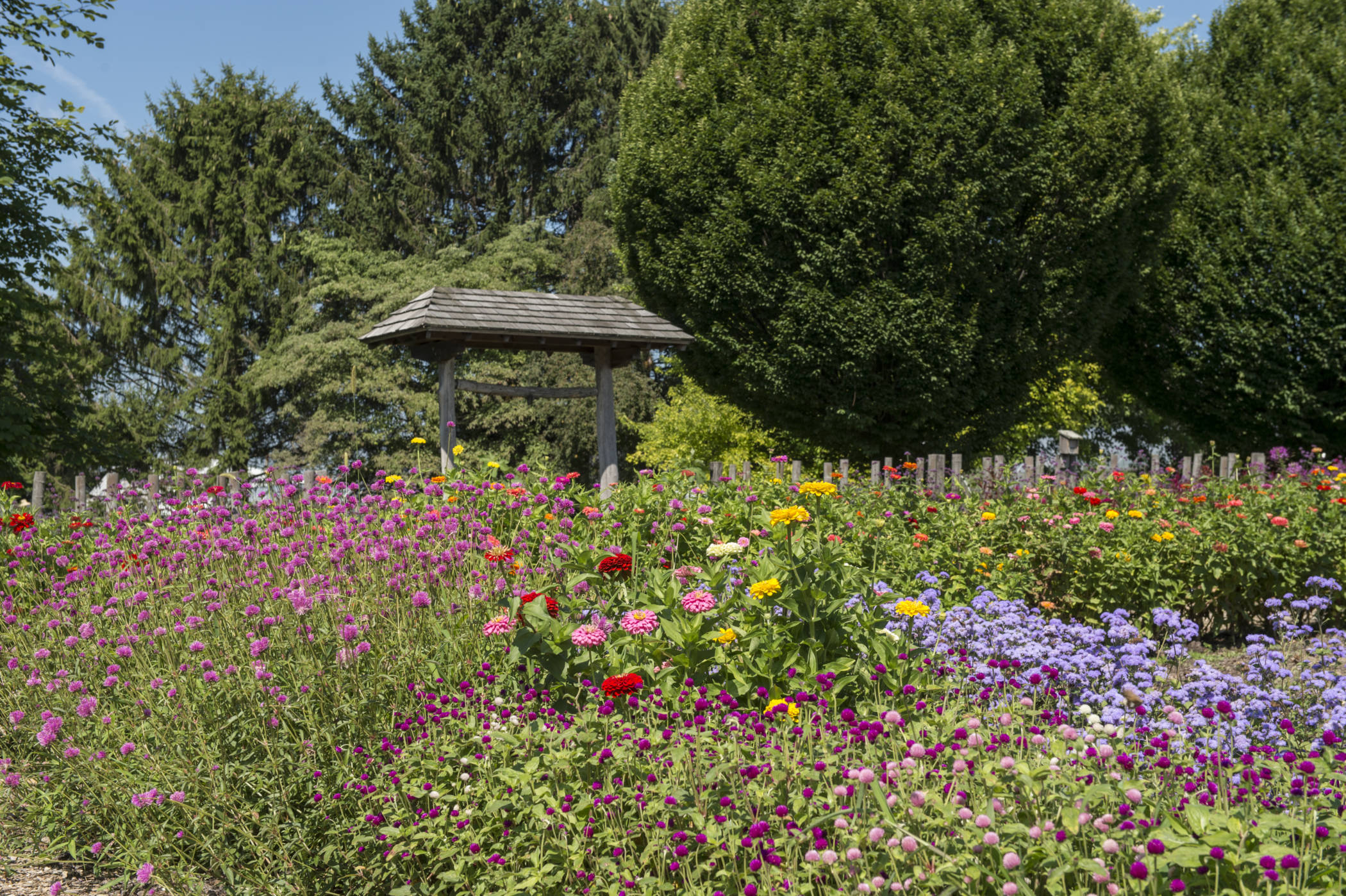 Plantes vertes et herbe poussant à travers le maillage de boîtes