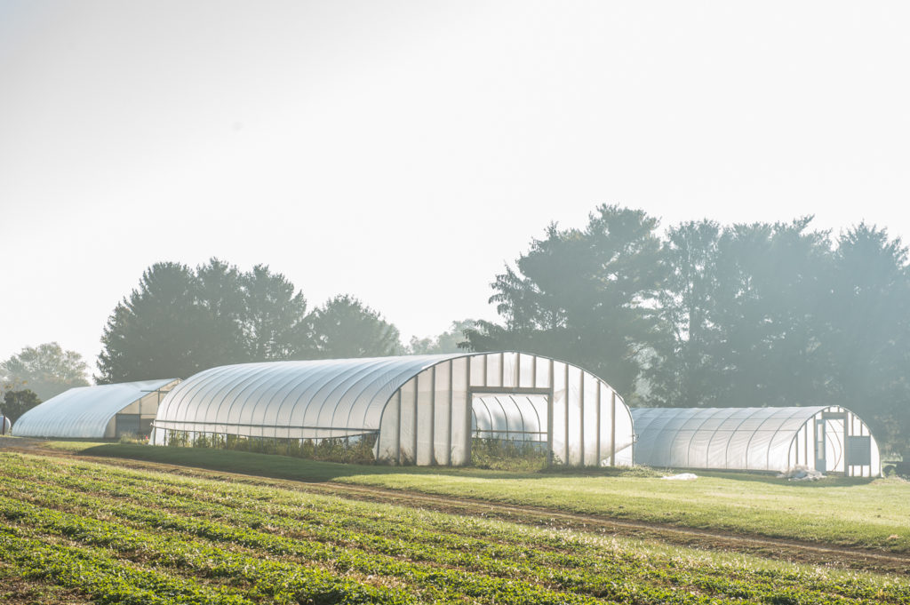 Rodale Greehouses