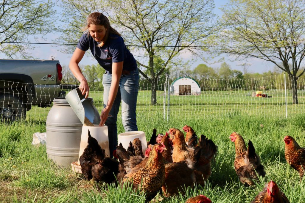 mixed crop and livestock farming