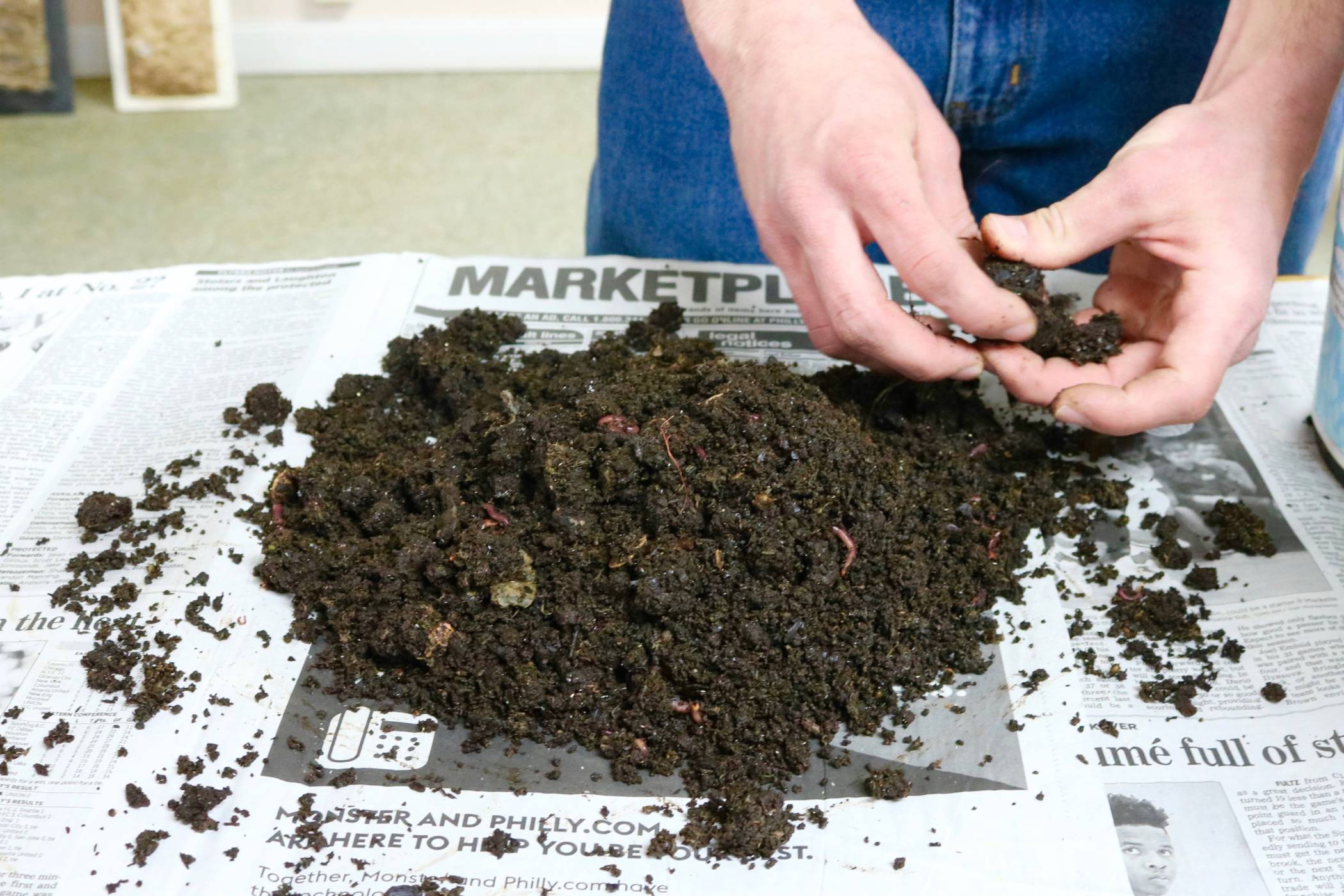 Webinar: Vermicomposting For A Bountiful Garden - Rodale Institute