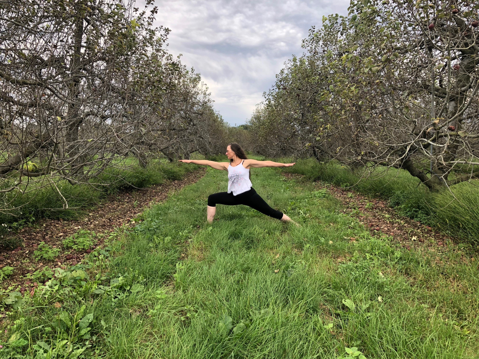 yoga à la ferme