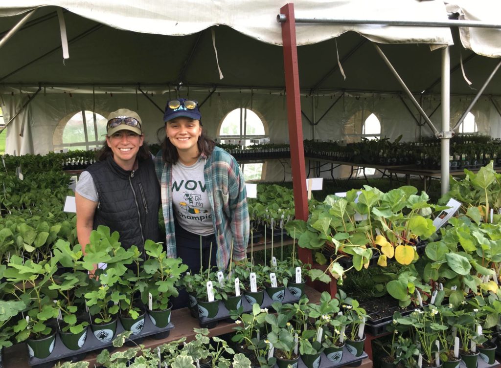 May Organic Plant Sale Curbside Pickup Rodale Institute