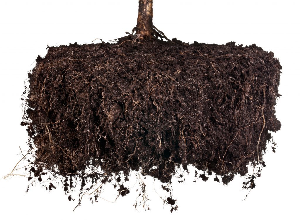 10 Ways Organic Improves Soil Health Rodale Institute