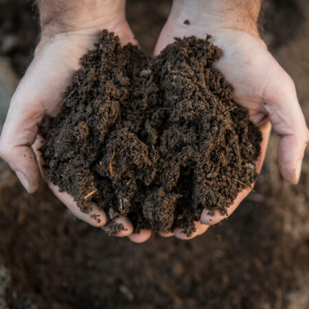 Soil Organic Matter