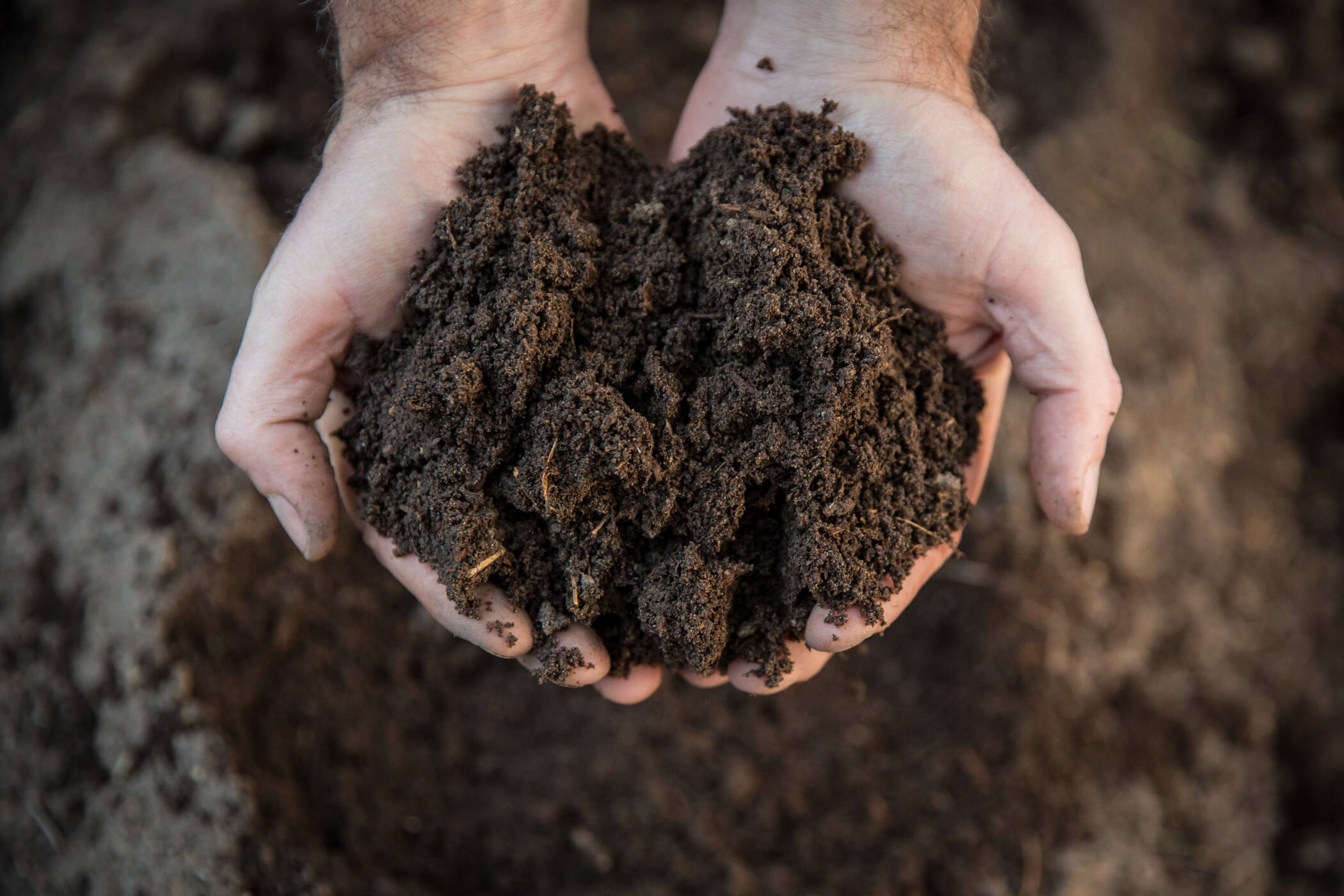 Soil Organic Matter