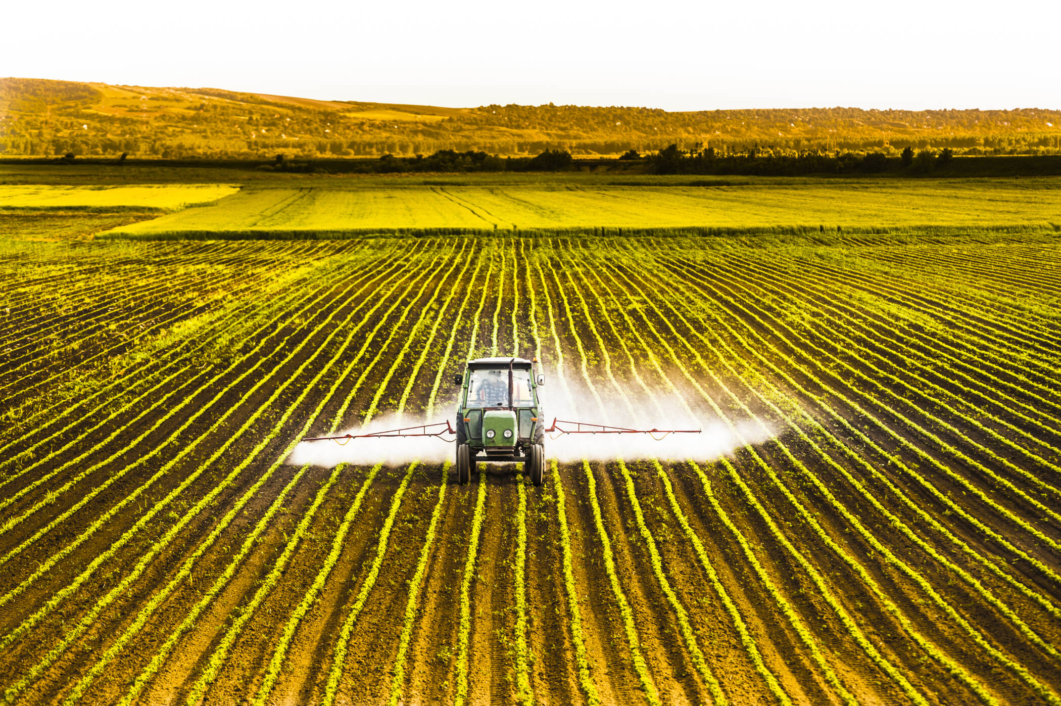 Wait, Organic Farmers Use Pesticides?