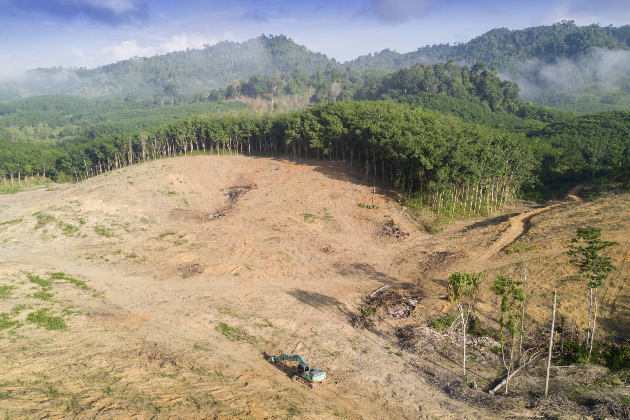 Ecuador. Gli indigeni kichwa conservano la foresta pluviale, image size:2100x1400