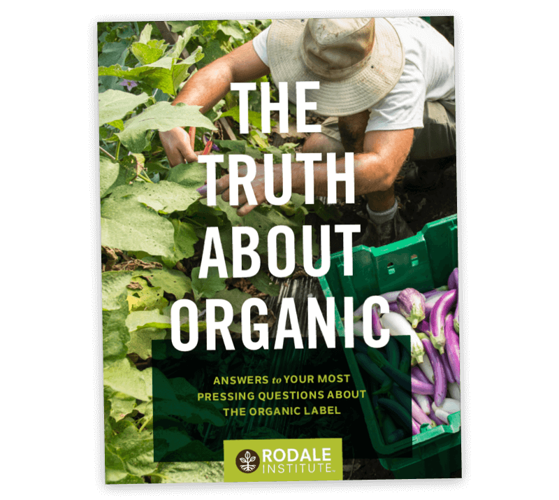 Portada de la guía The Truth About Organic