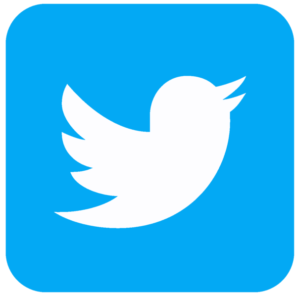 Twitter Icon